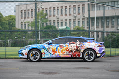 DENZA Z9GT-001-FG BO04