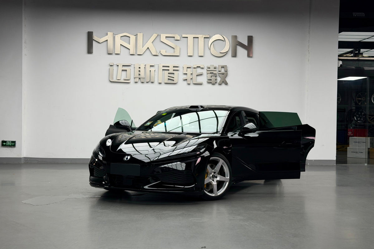 DENZA Z9GT-003-FG MR5；FG MR6