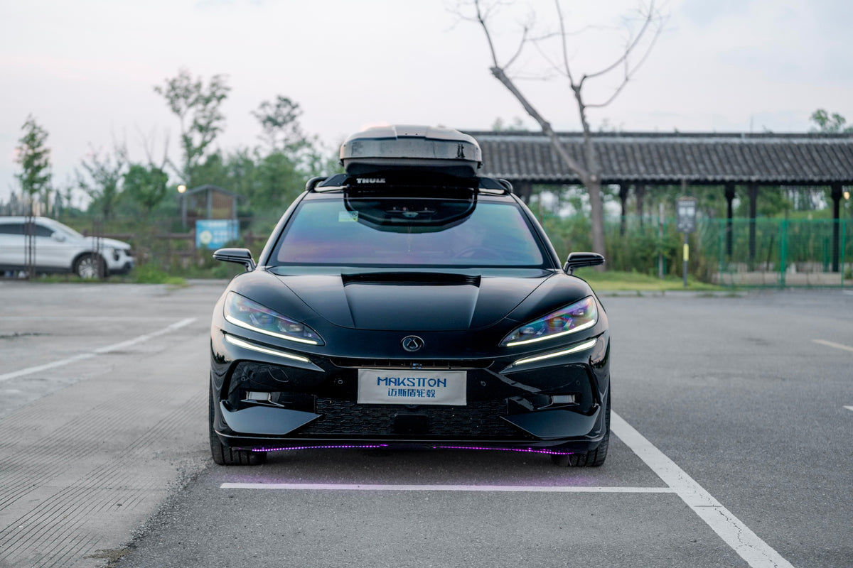 DENZA Z9GT-004-FG FK08