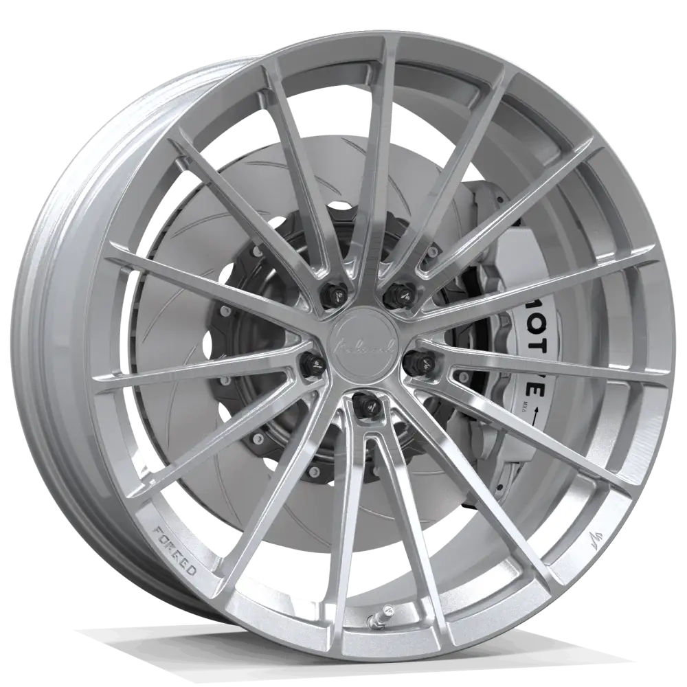 FG ZY01