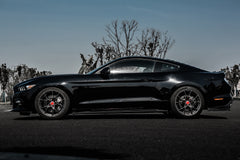 FORD MUSTANG-001-FF 101