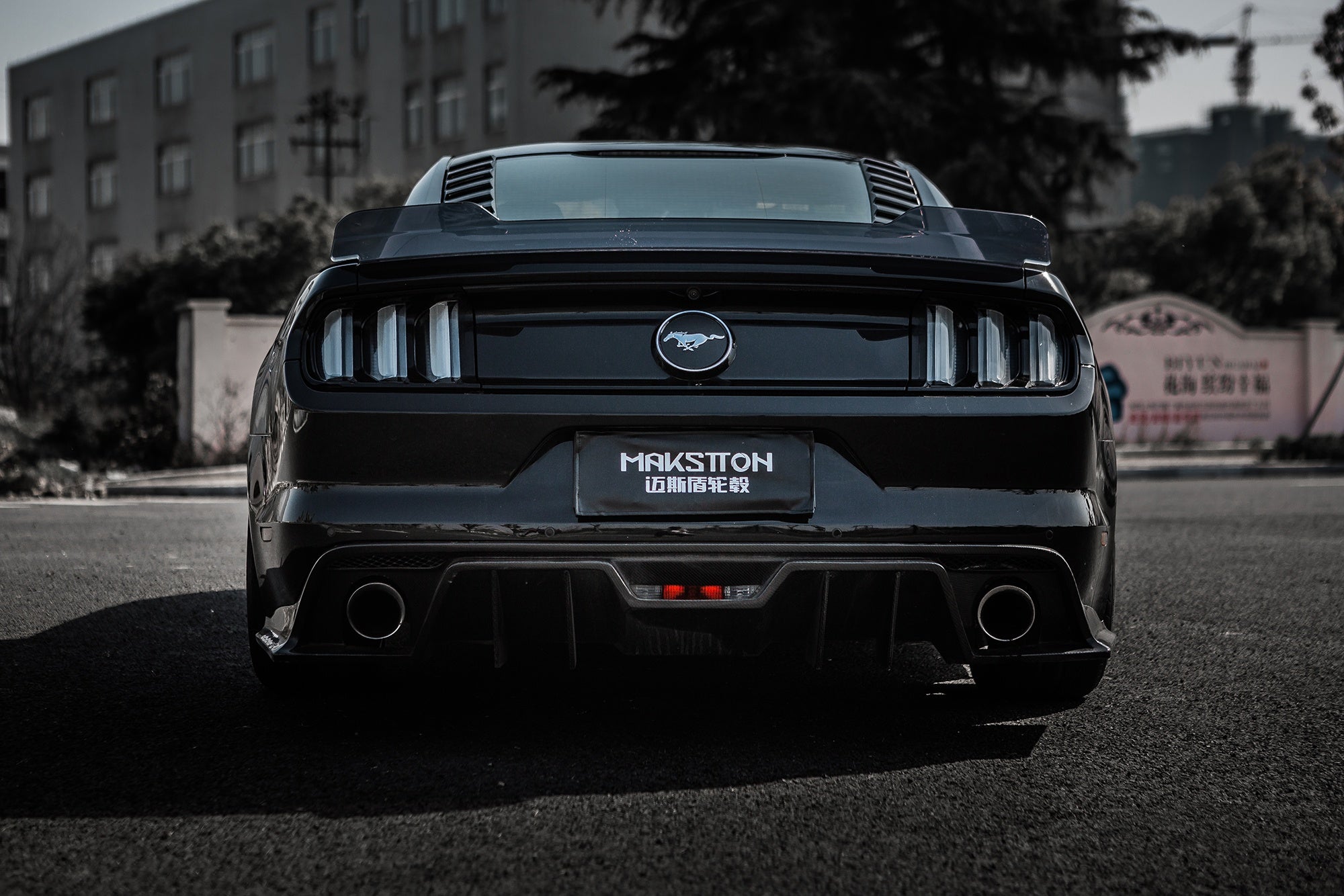 FORD MUSTANG-002-FF 101