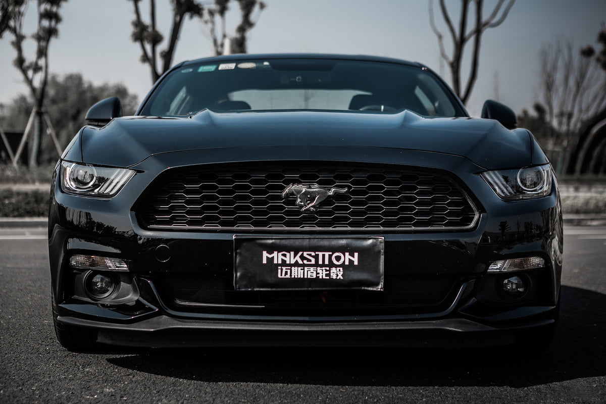 FORD MUSTANG-003-FF 101