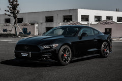 FORD MUSTANG-006-FF 101
