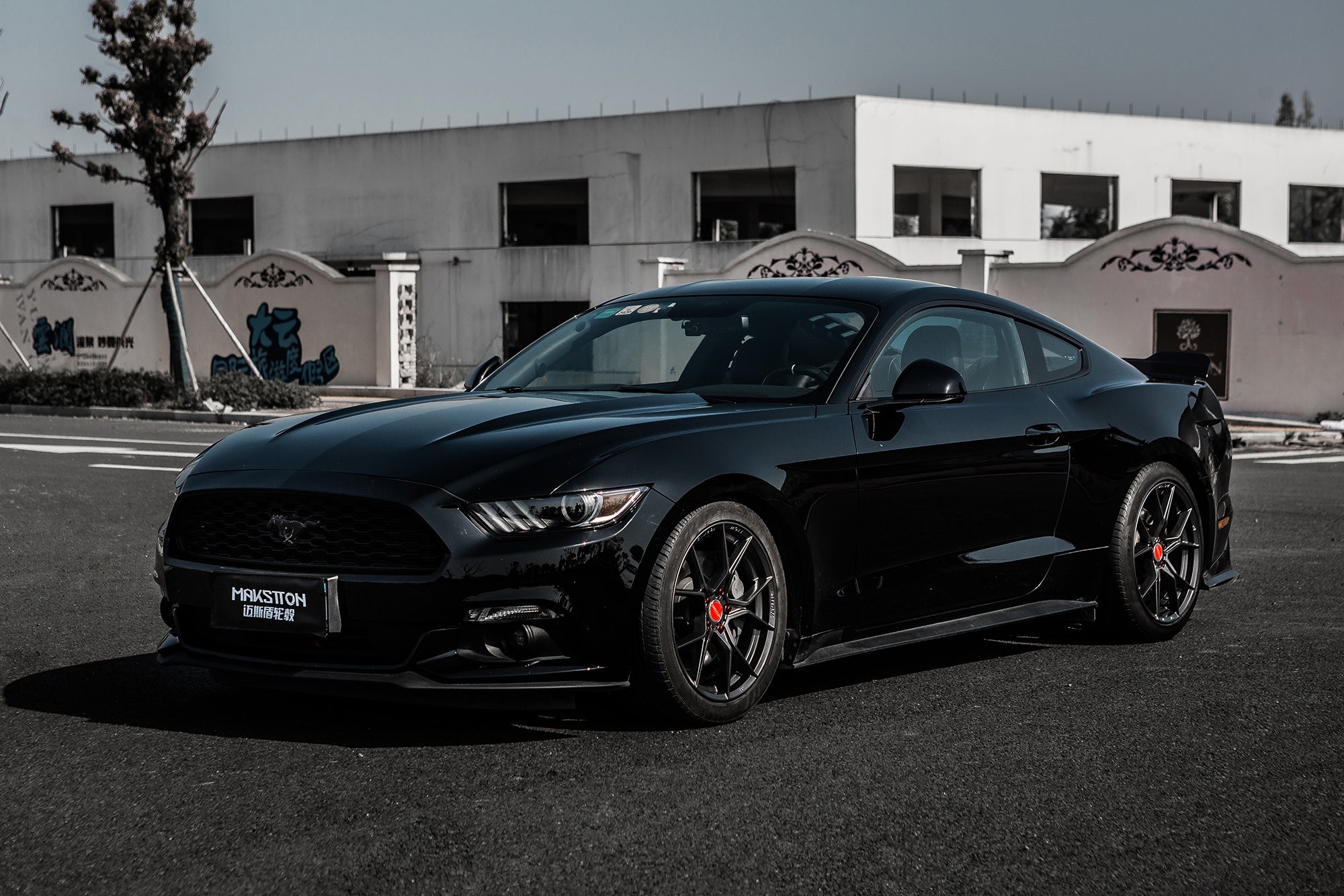 FORD MUSTANG-006-FF 101