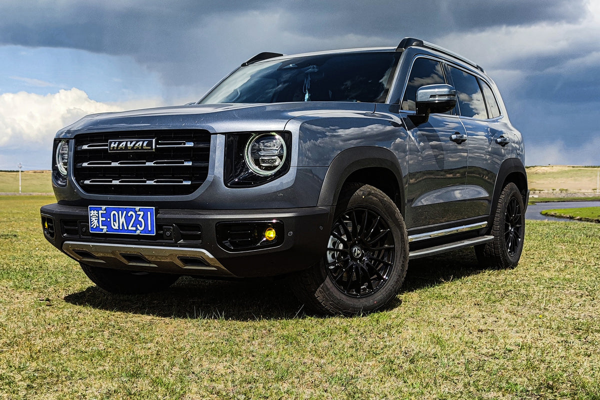 GWM HAVAL DARGO-004-MST 693