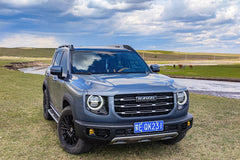 GWM HAVAL DARGO-005-MST 693