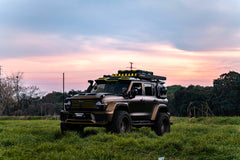 GWM TANK 300-002-N40° CK03H