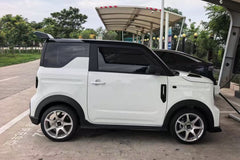 GEOME PANDA MINI-001-FF MR7S