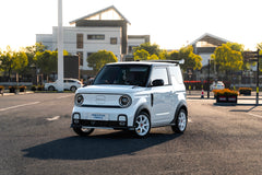 GEOME PANDA MINI-002-FF MR7S