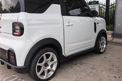 GEOME PANDA MINI-003-FF MR7S