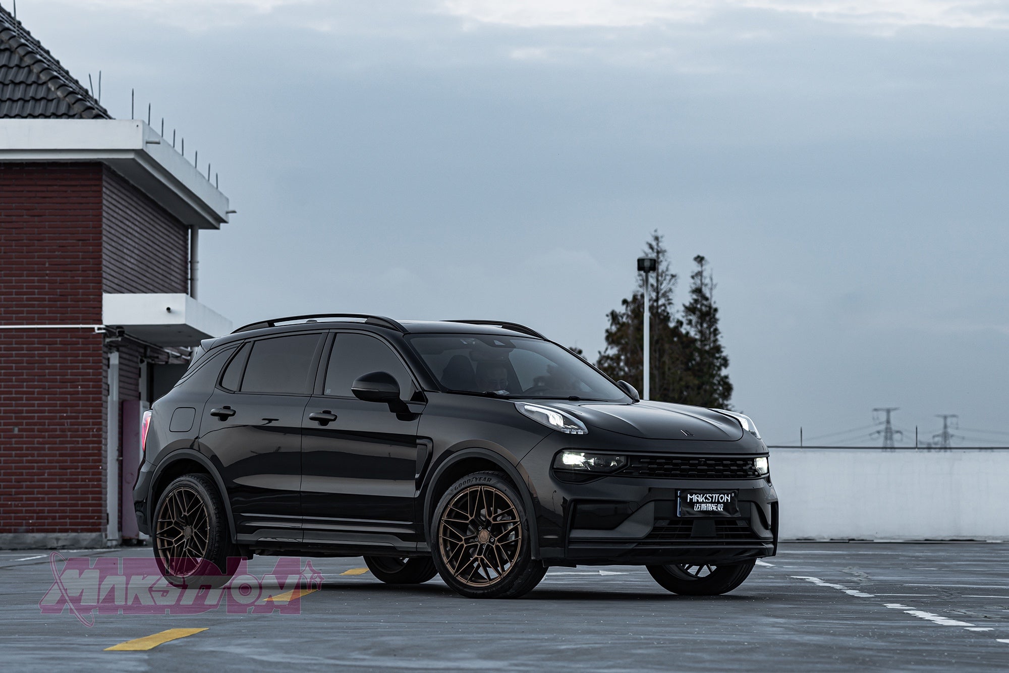 LYNK&CO 01-003-MST 718