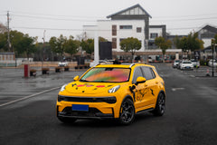 LYNK&CO 01-002-MST FLC