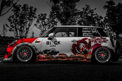 MINI COOPER-001-GOT 002