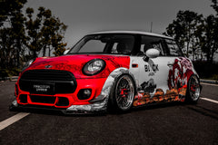 MINI COOPER-005-GOT 002