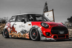 MINI COOPER-005-GOT 201