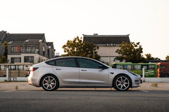 TESLA MODEL3-001-FG MR7 MONO