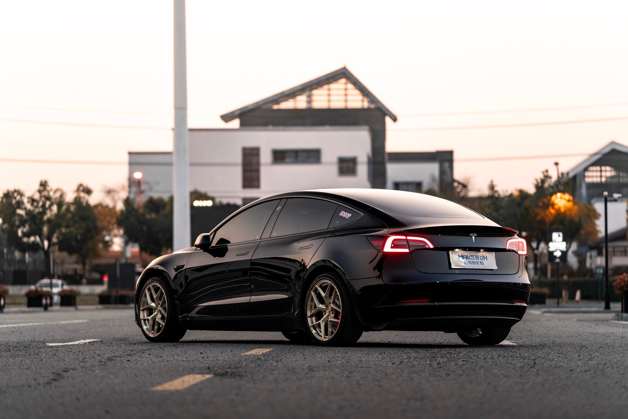 TESLA MODEL3-003-FG FK07