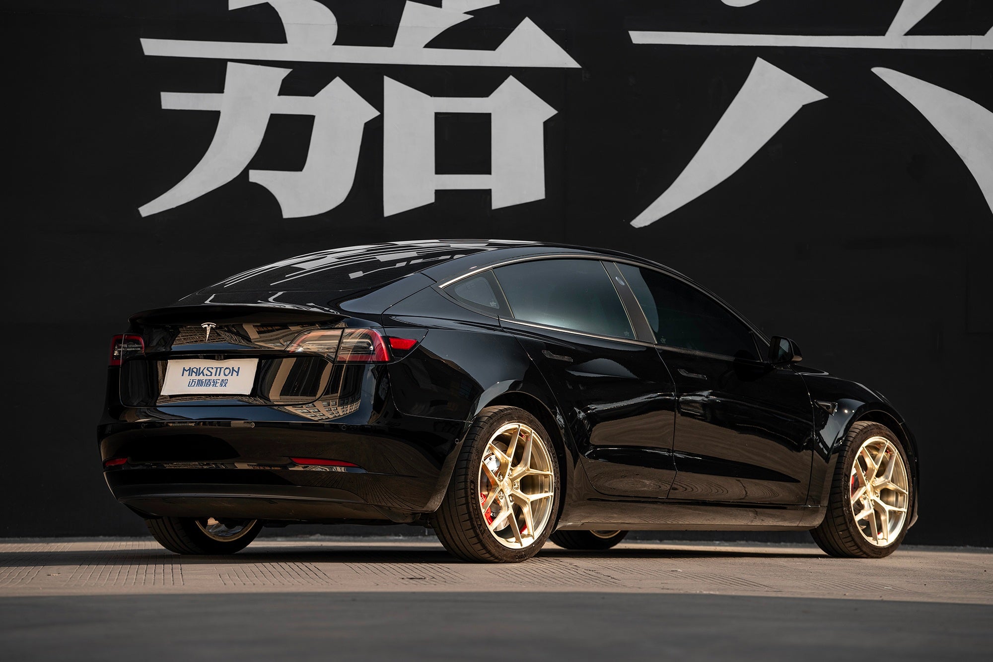 TESLA MODEL3-003-FG FK07