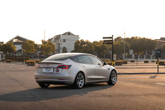 TESLA MODEL3-003-FG MR7 MONO