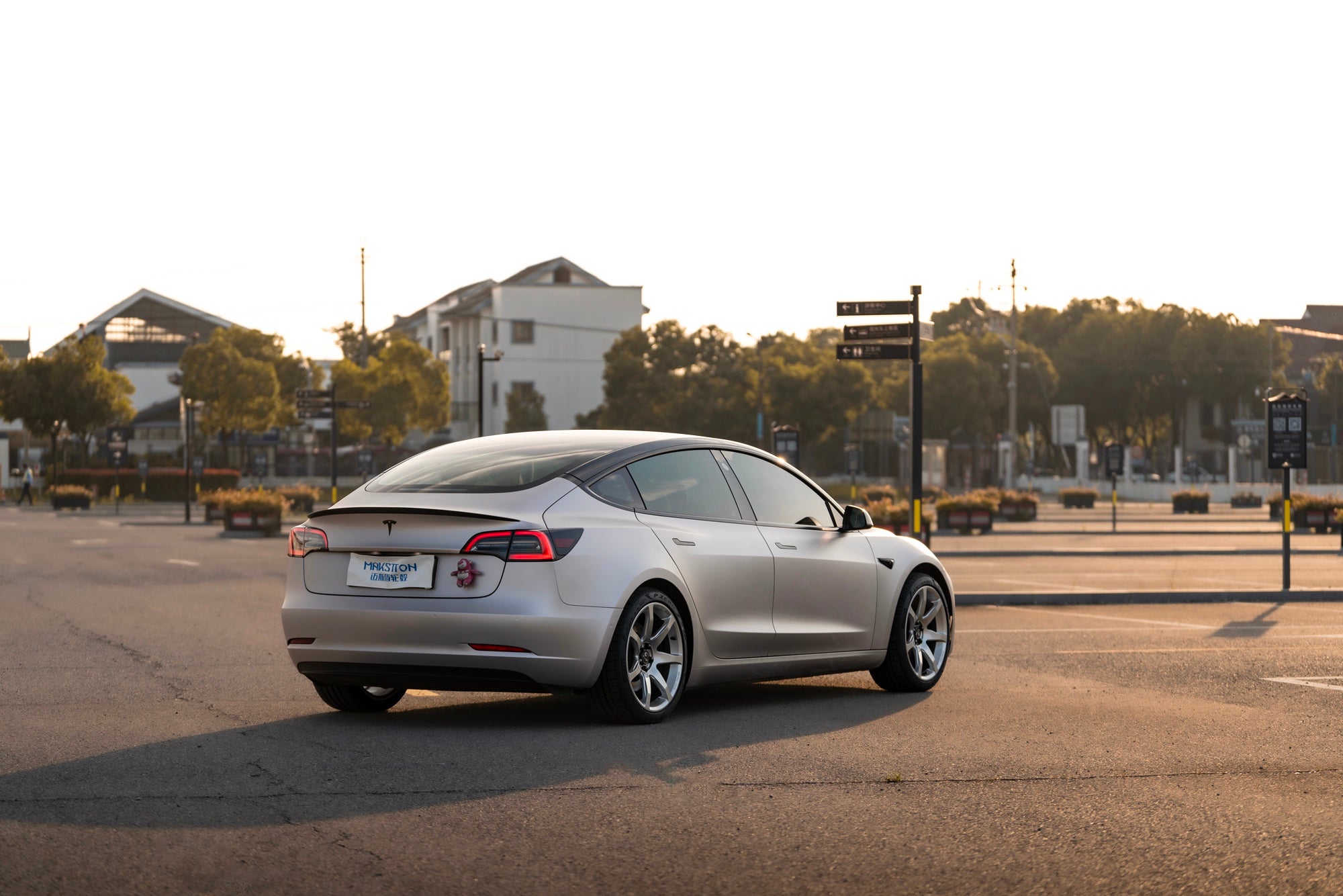 TESLA MODEL3-003-FG MR7 MONO
