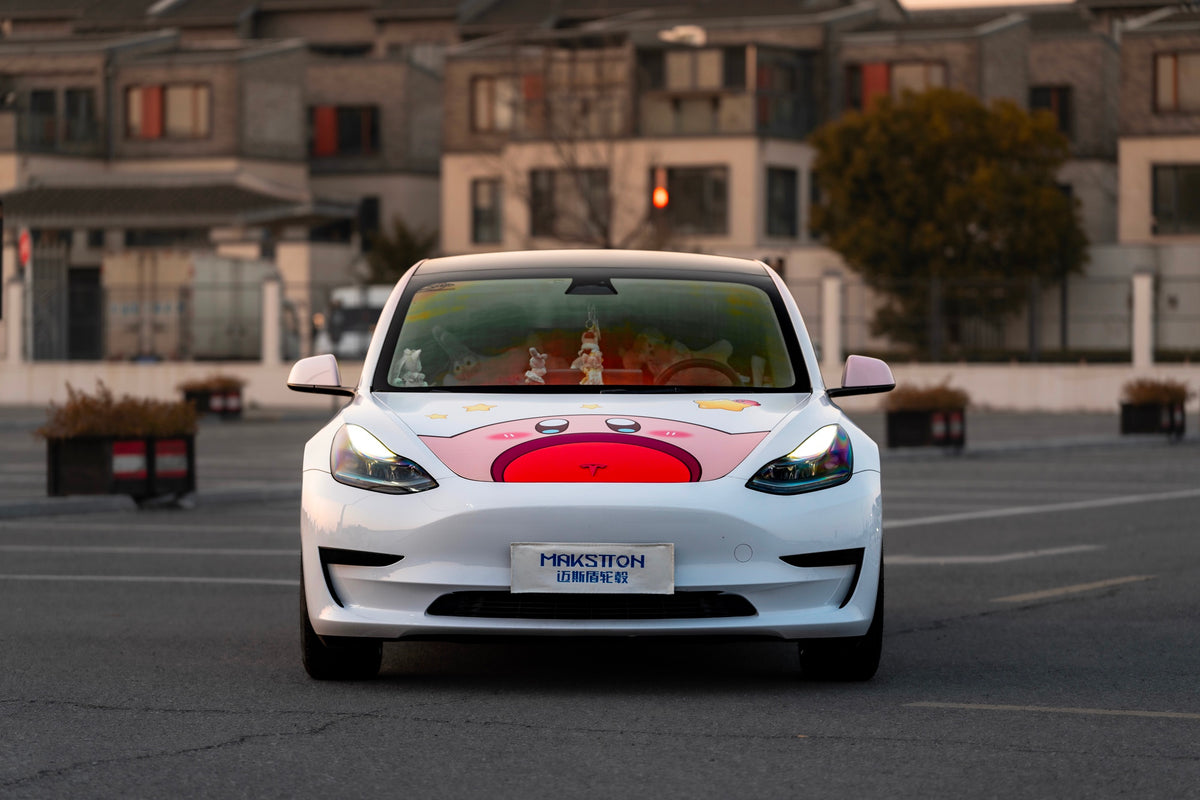 TESLA MODEL3-004-FF FK07