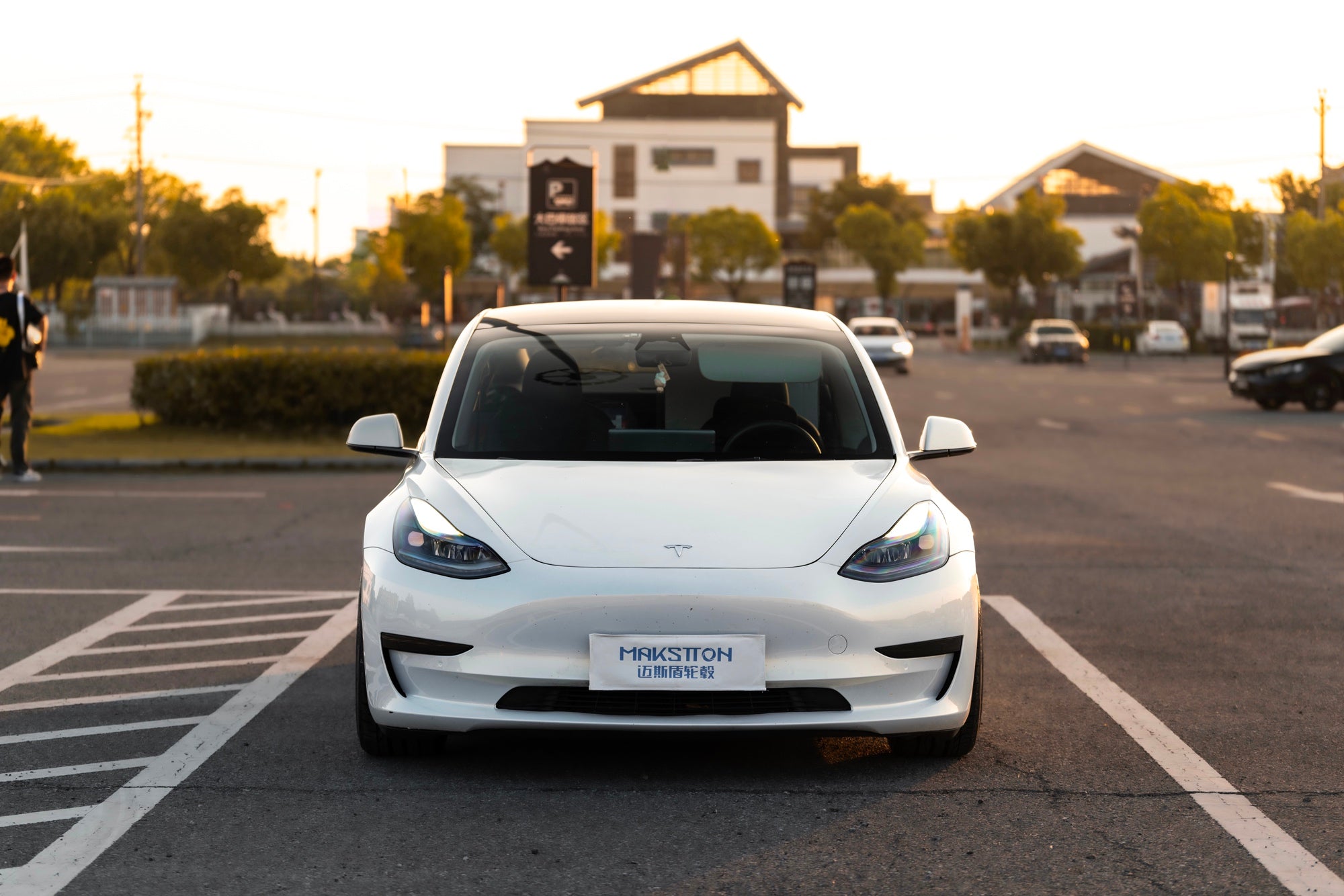 TESLA MODEL3-004-FG MR7 MONO