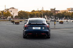 TESLA MODEL3-005-FF MR7 MONO