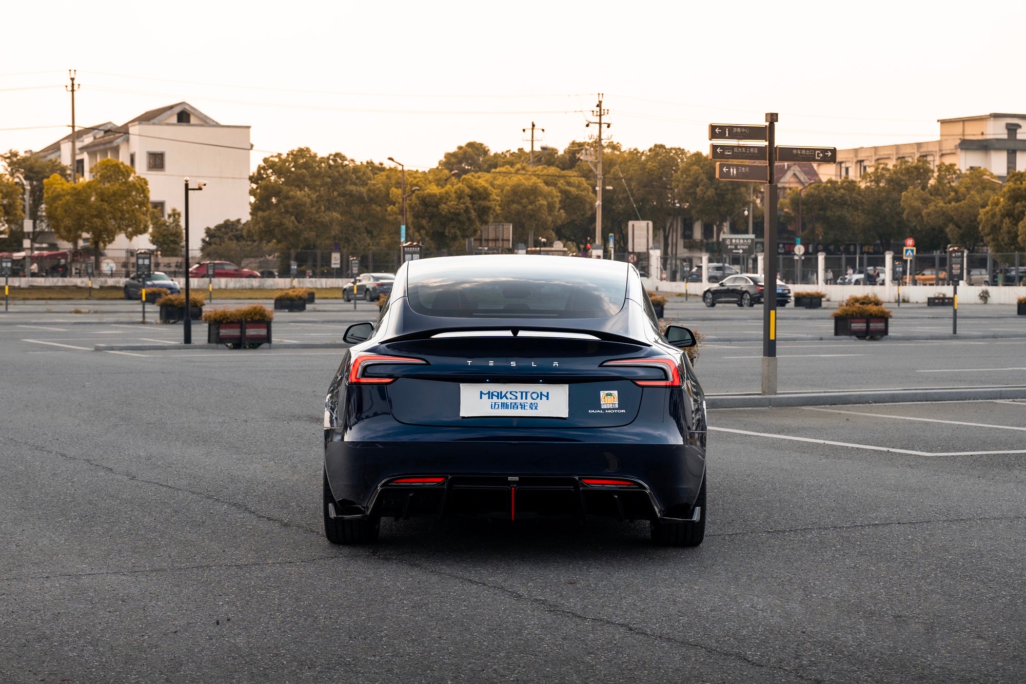 TESLA MODEL3-005-FF MR7 MONO