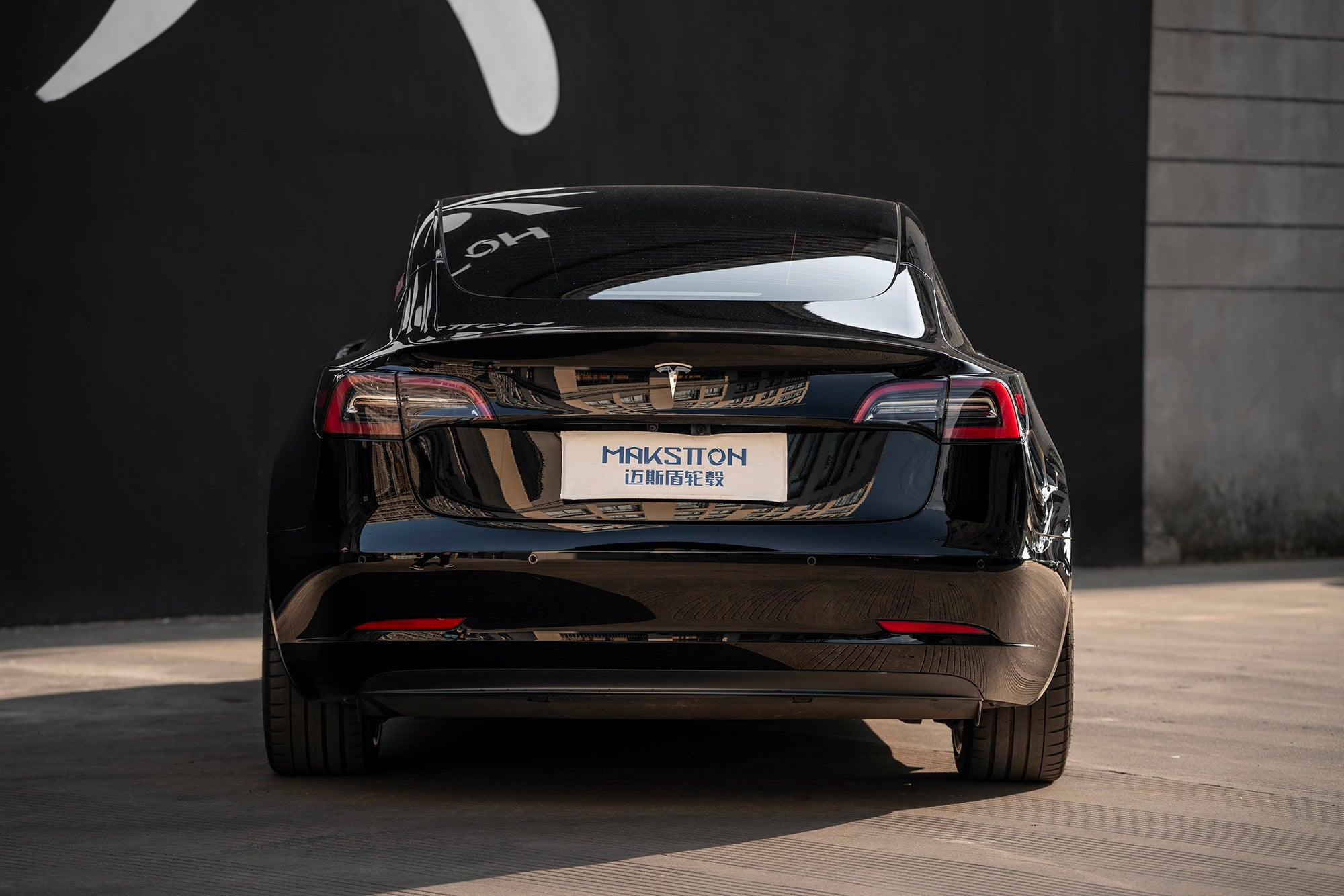 TESLA MODEL3-005-FG FK07