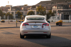 TESLA MODEL3-005-FG MR7 MONO