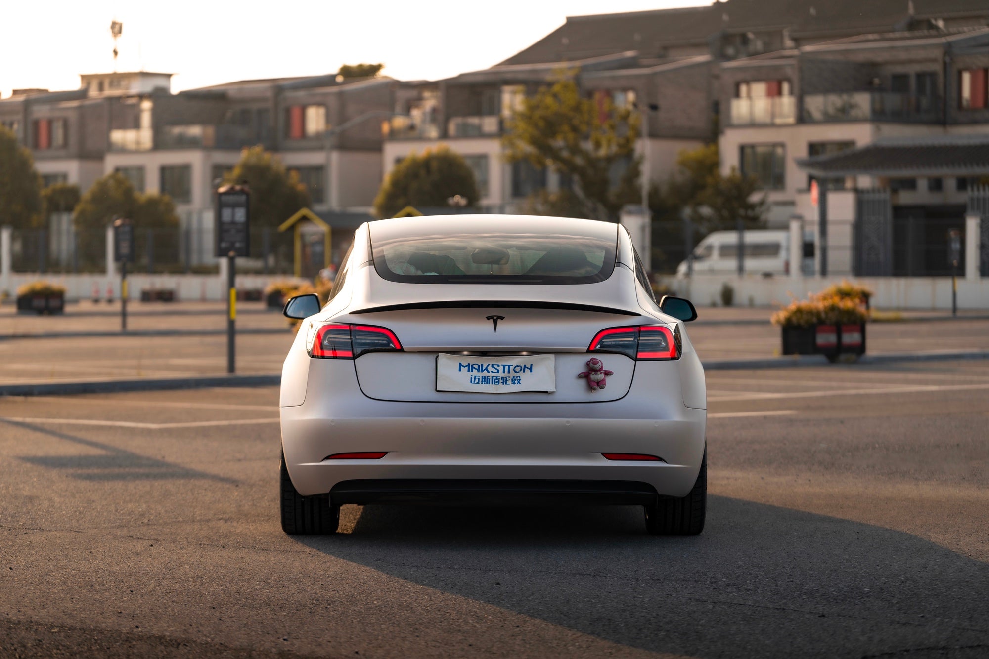 TESLA MODEL3-005-FG MR7 MONO