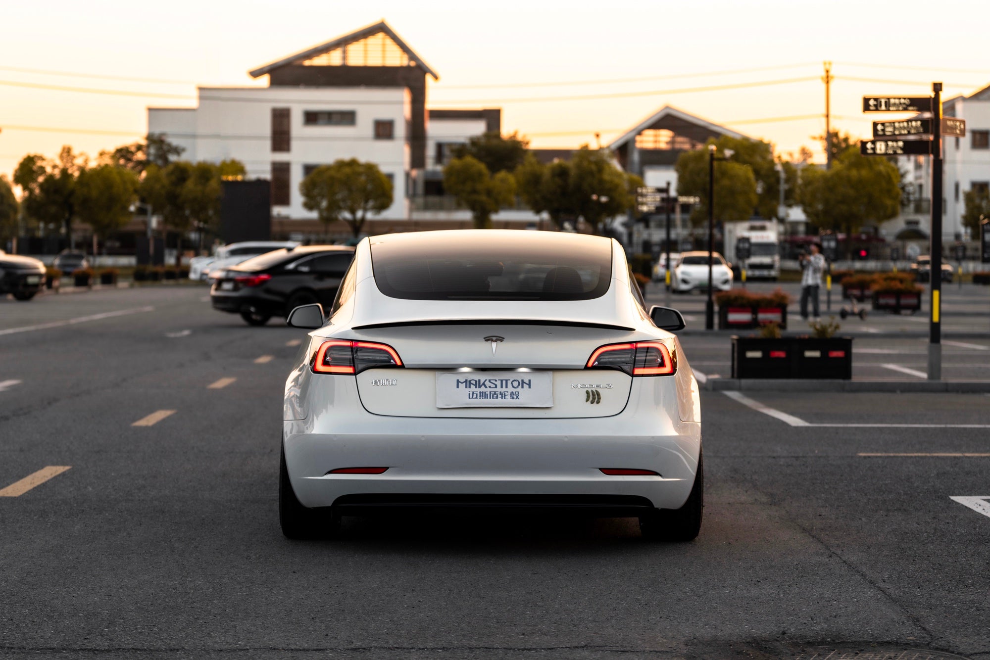 TESLA MODEL3-005-FG MR7 MONO