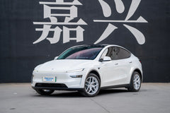 TESLA MODELY-002-FF FK07