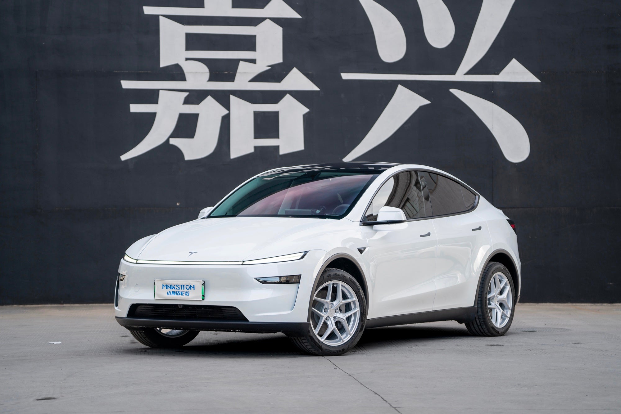 TESLA MODELY-002-FF FK07
