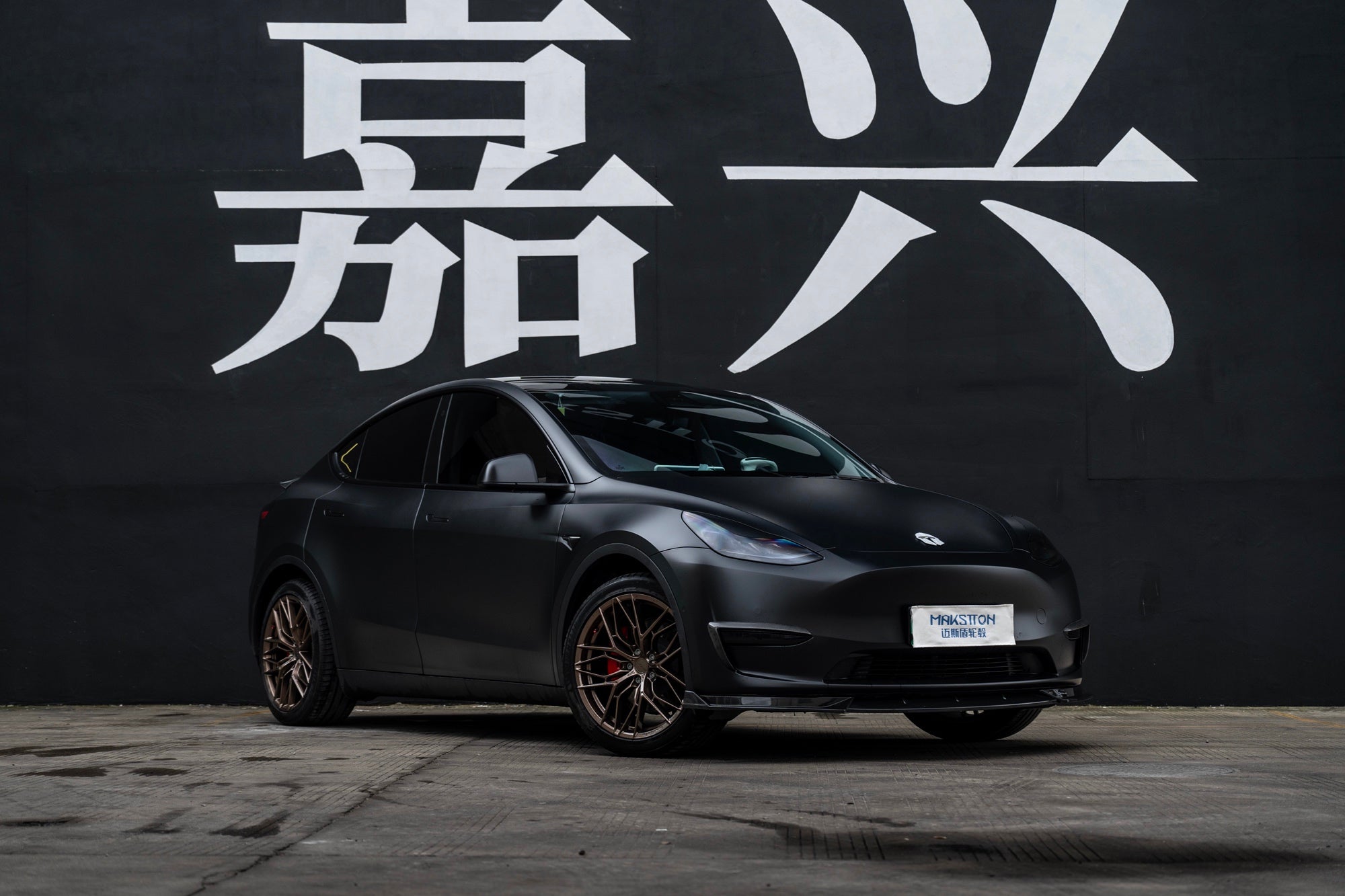 TESLA MODELY-002-FF FK08