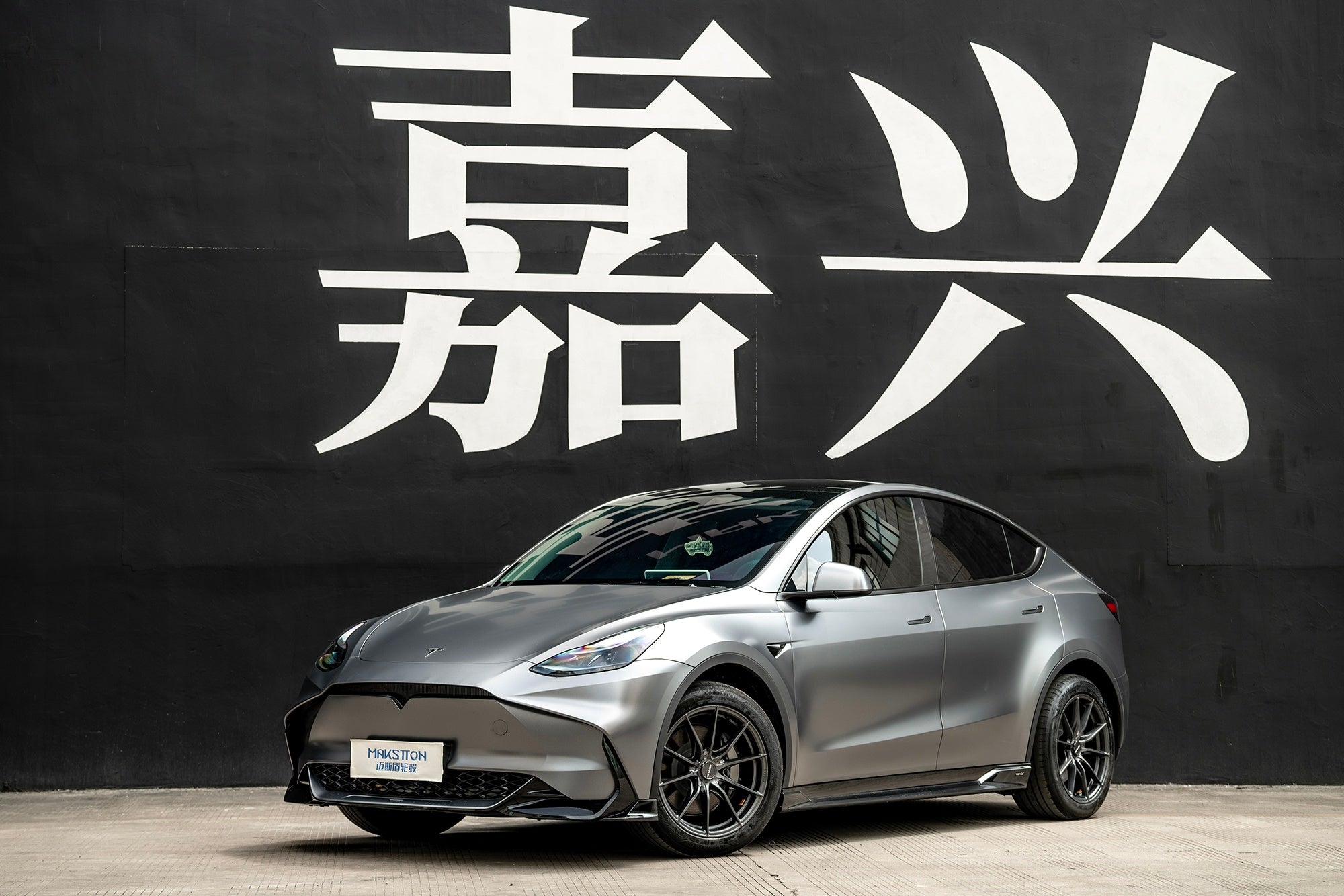 TESLA MODELY-002-FG 011
