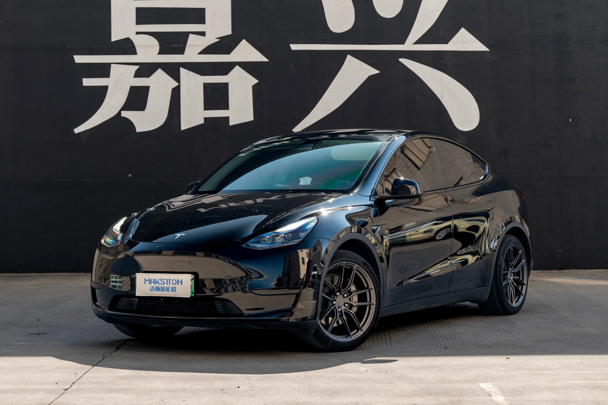 TESLA MODELY-002-FG 713