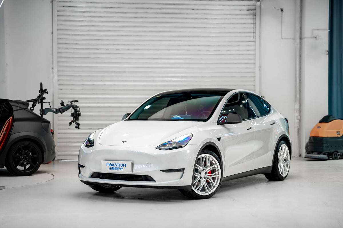 TESLA MODELY-002-FG FK08