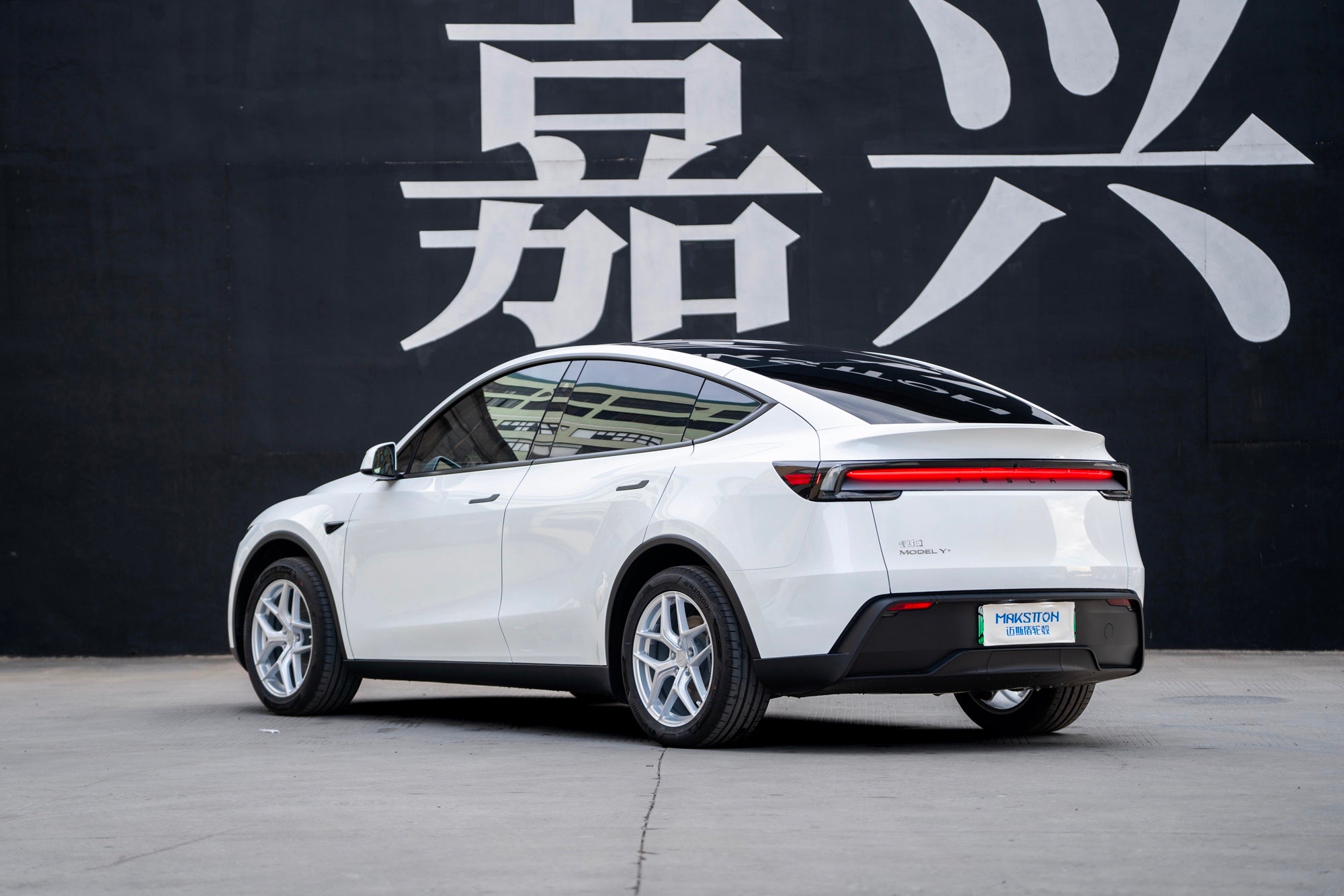 TESLA MODELY-003-FF FK07