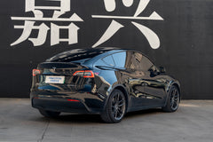 TESLA MODELY-003-FG 713