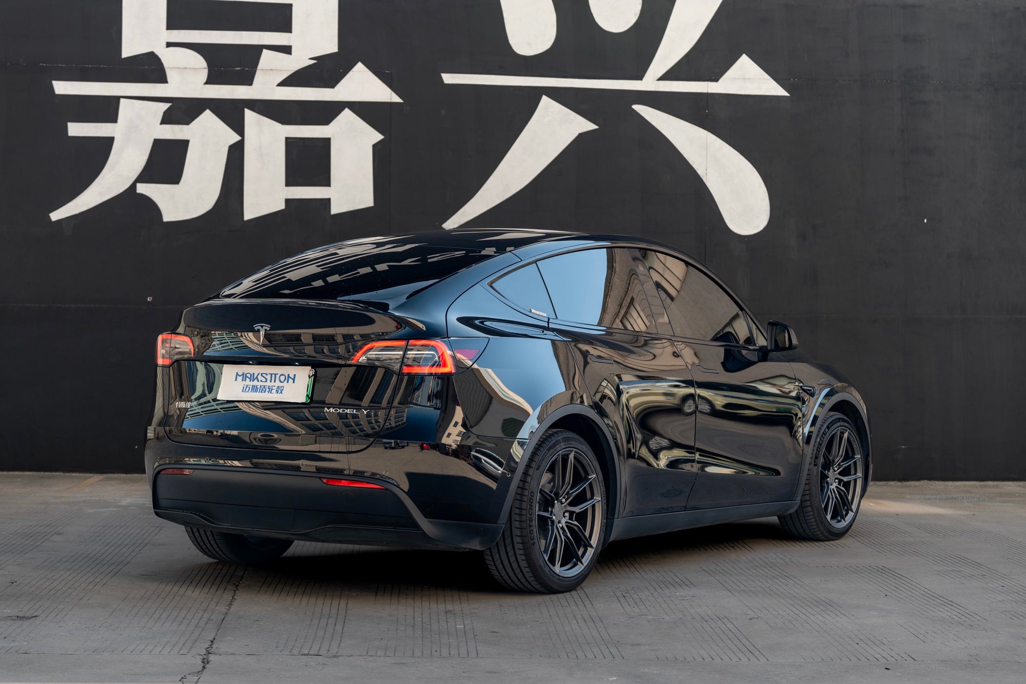TESLA MODELY-003-FG 713