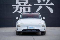 TESLA MODELY-004-FF FK07