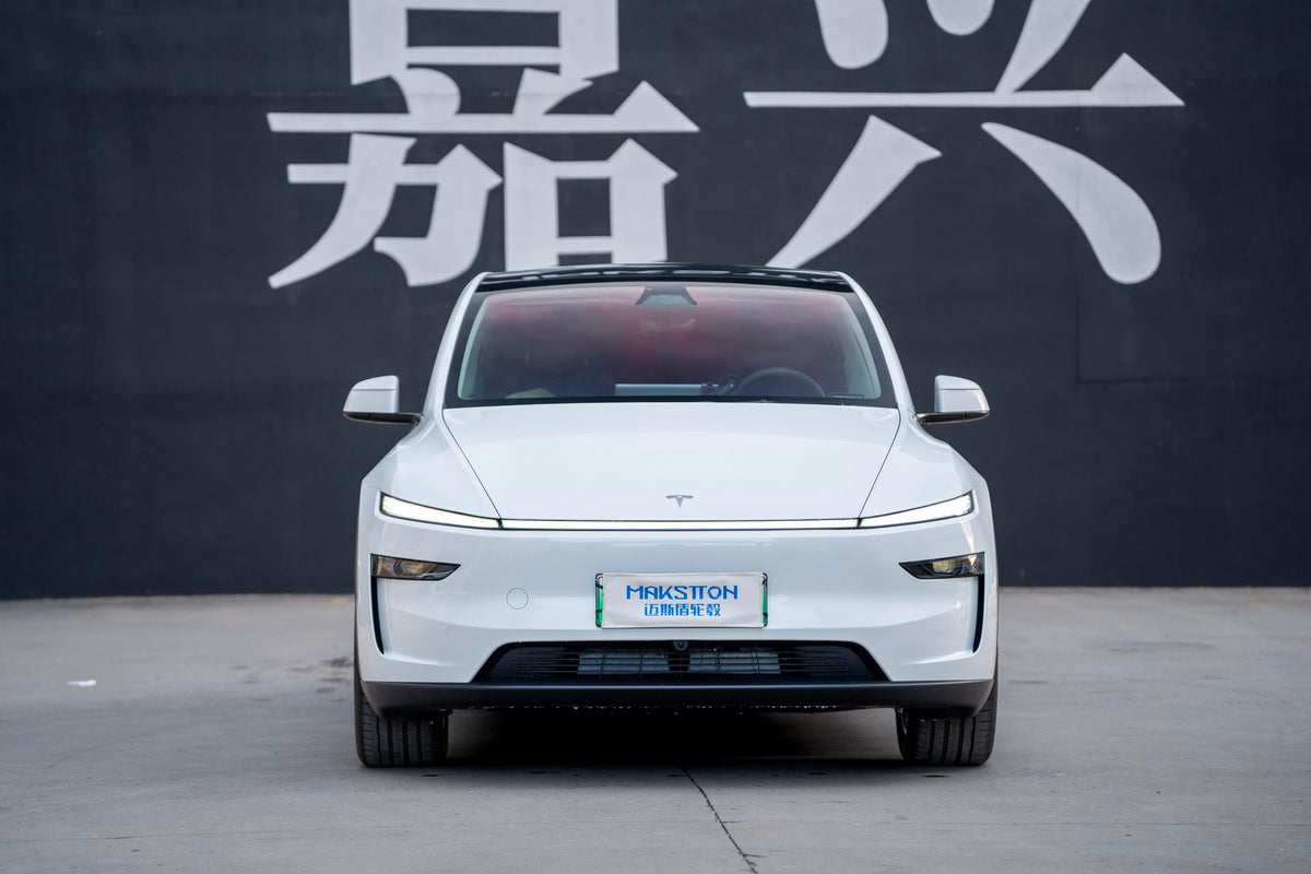 TESLA MODELY-004-FF FK07