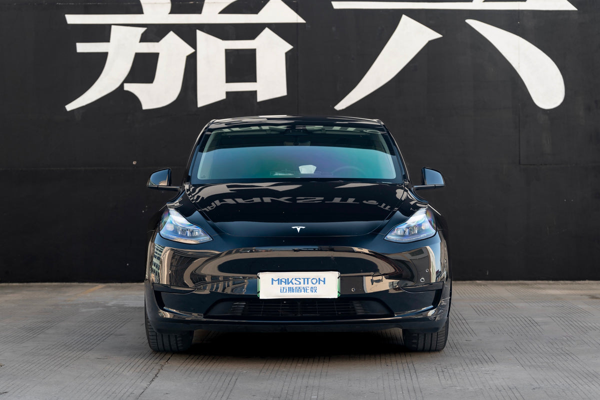 TESLA MODELY-004-FG 713