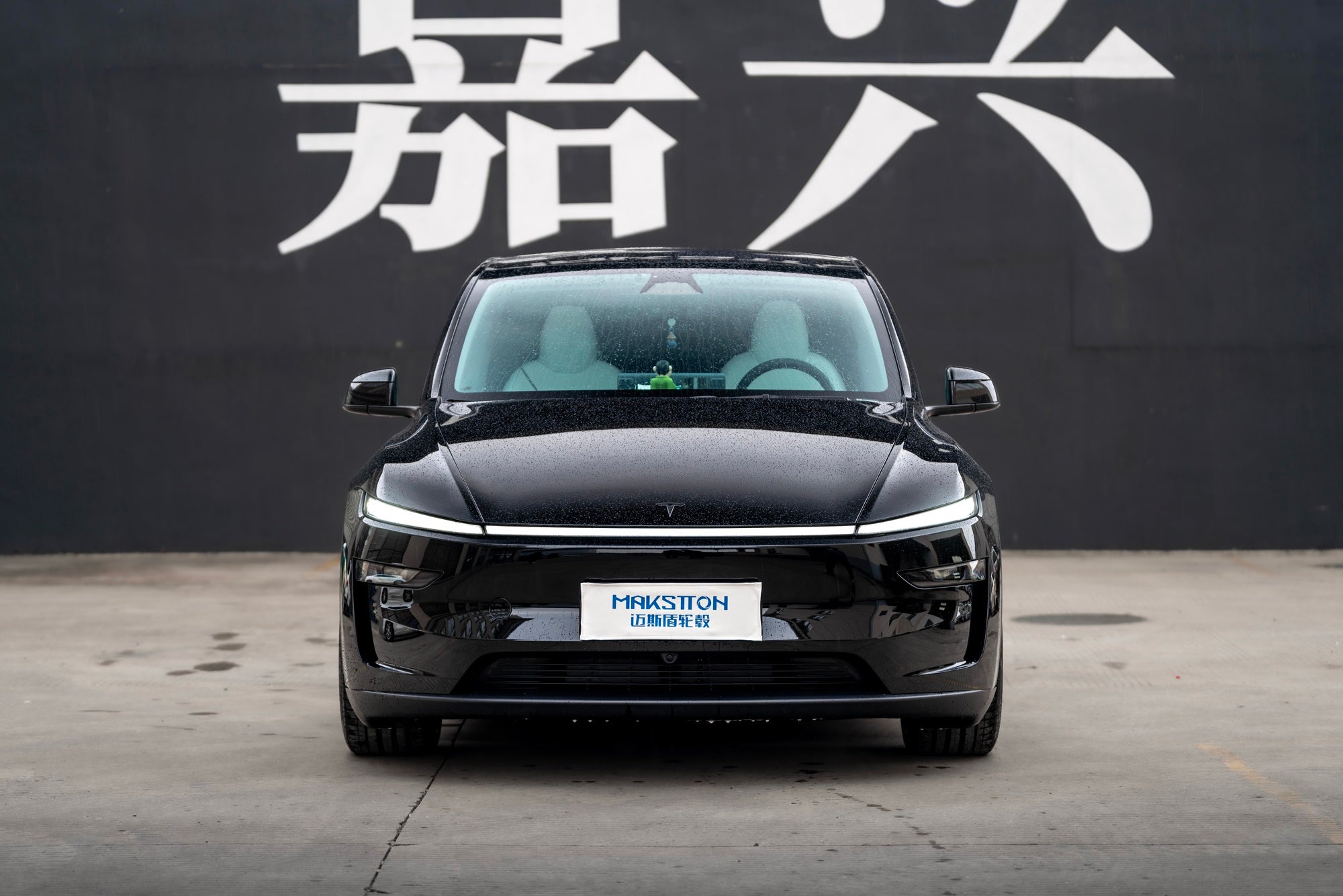 TESLA MODELY-004-FG FR9