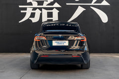 TESLA MODELY-005-FG 713