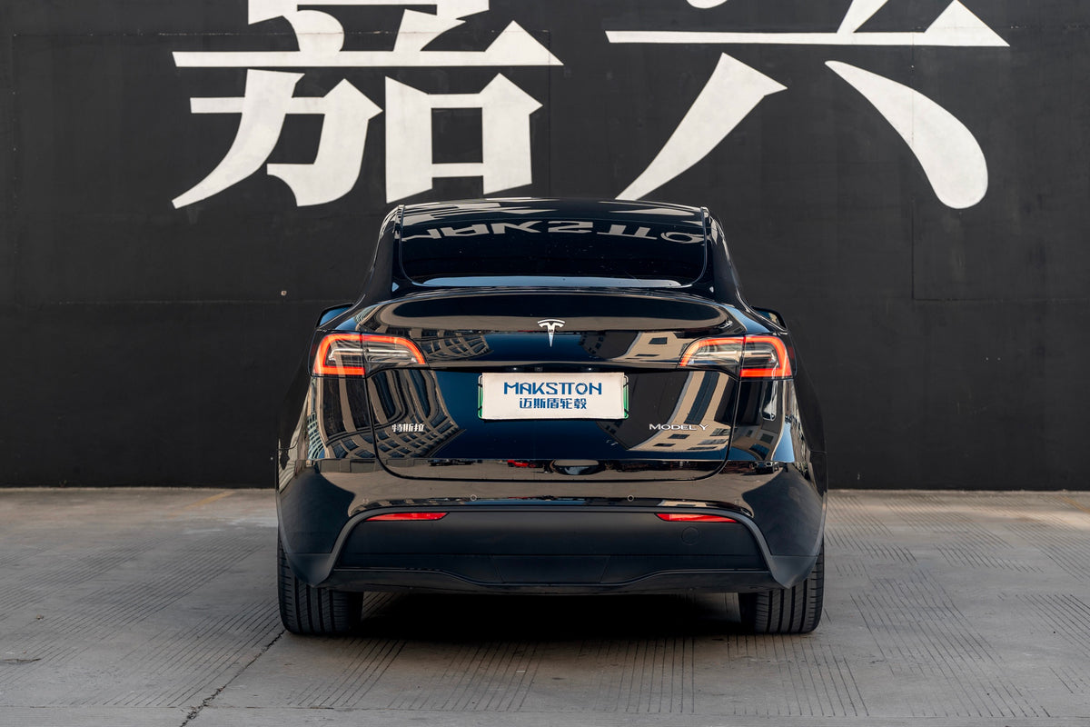 TESLA MODELY-005-FG 713