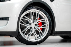 TESLA MODELY-006-FG FK08