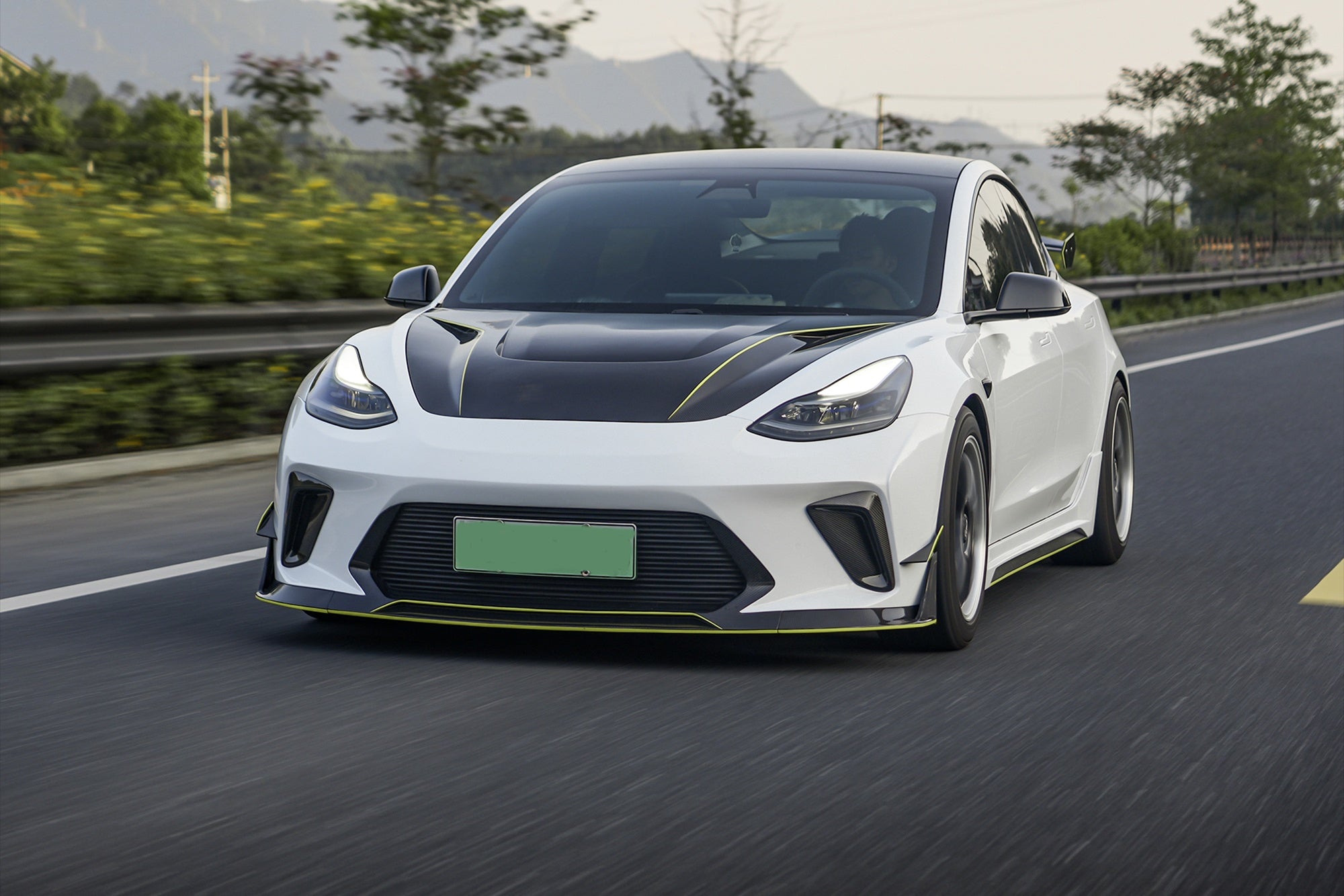 TESLA MODEL 3-005-GOT 201